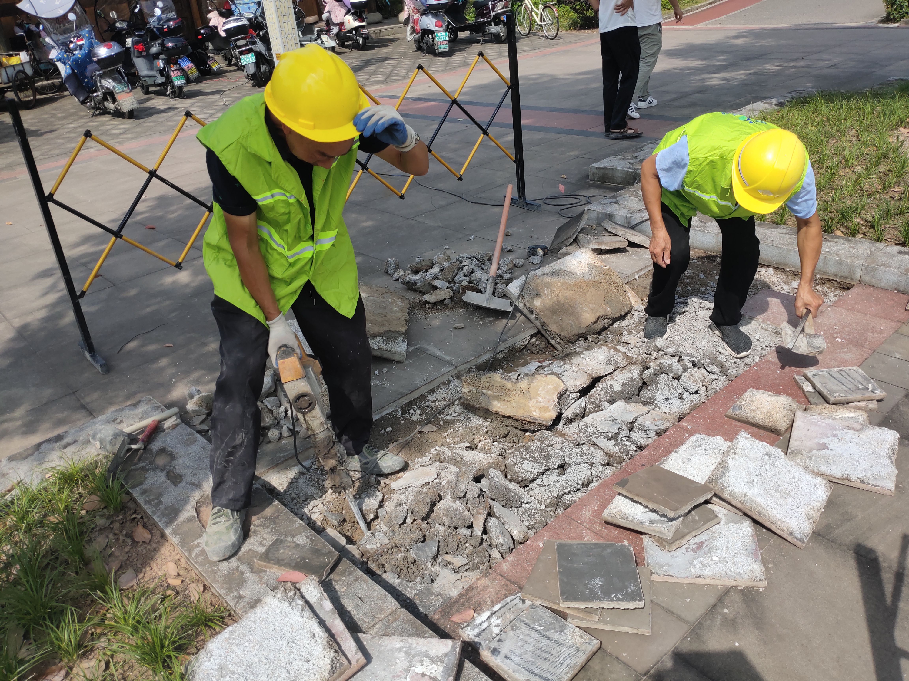 墊江縣公園維護(hù)維修項(xiàng)目